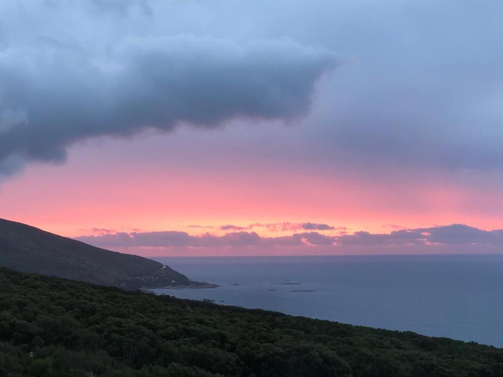 Camps Bay Blue Self-Catering Studios كيب تاون المظهر الخارجي الصورة